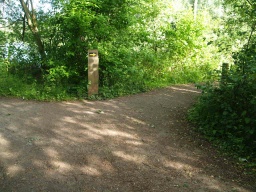 Image on trail